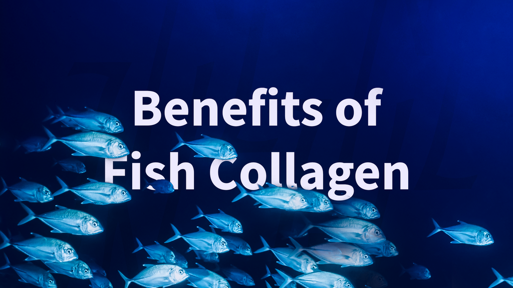 Benefits of Fish Collagen