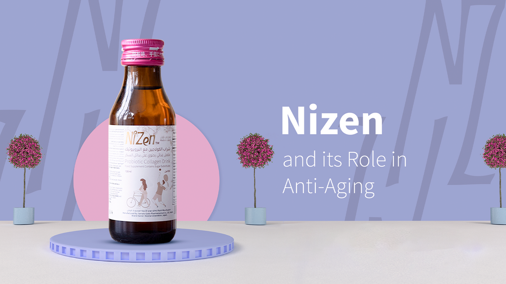 Nizen and its Role in Anti-Aging